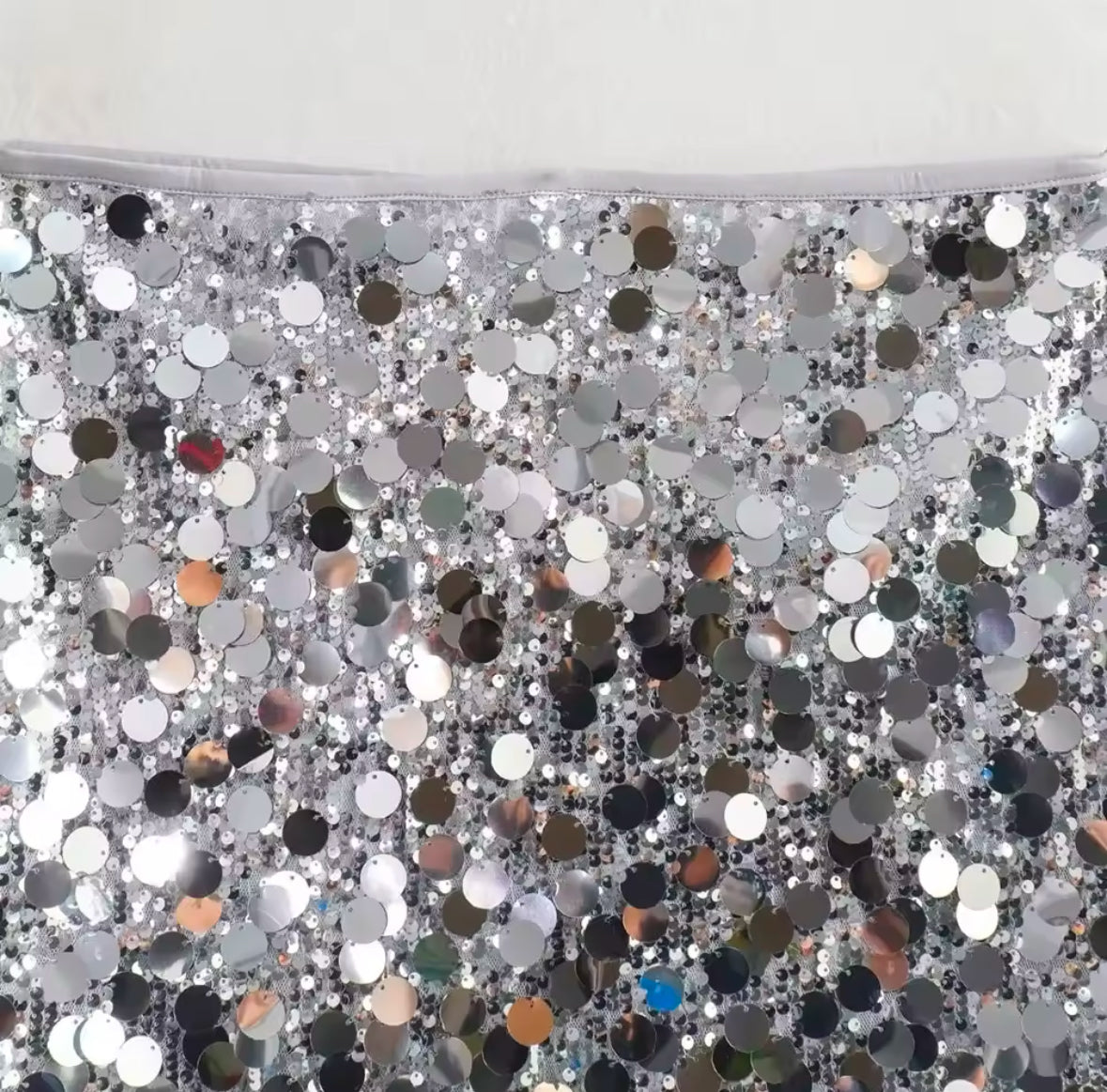 Sequin Skirt