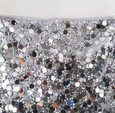 Sequin Skirt