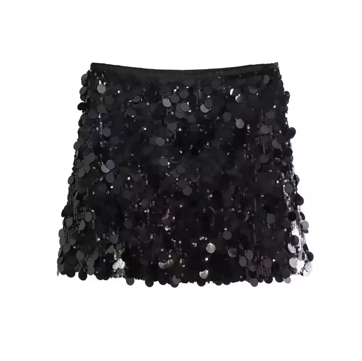 Sequin Skirt