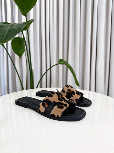 ARIS | Exclusive Limited Edition
